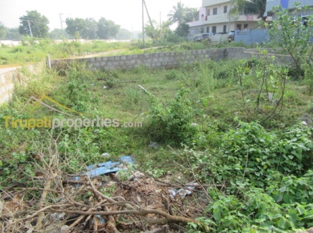 40 Ankanams North – West Corner Plot for Sale in Vidyanagar Colony, Tirupati
